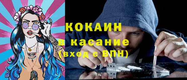 mix Бородино